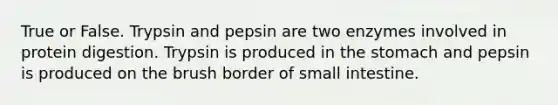 True or False. Trypsin and pepsin are two enzymes involved in protein digestion. Trypsin is produced in the stomach and pepsin is produced on the brush border of small intestine.