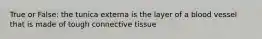 True or False: the tunica externa is the layer of a blood vessel that is made of tough connective tissue