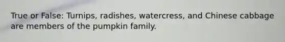 True or False: Turnips, radishes, watercress, and Chinese cabbage are members of the pumpkin family.