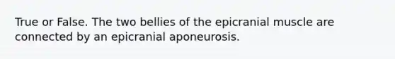 True or False. The two bellies of the epicranial muscle are connected by an epicranial aponeurosis.