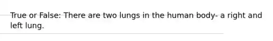 True or False: There are two lungs in the human body- a right and left lung.