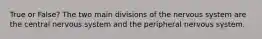 True or False? The two main divisions of the nervous system are the central nervous system and the peripheral nervous system.
