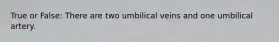 True or False: There are two umbilical veins and one umbilical artery.