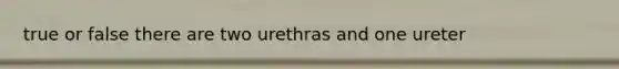 true or false there are two urethras and one ureter