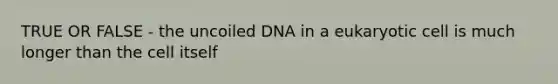 TRUE OR FALSE - the uncoiled DNA in a eukaryotic cell is much longer than the cell itself