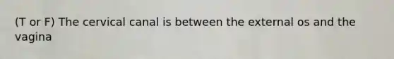 (T or F) The cervical canal is between the external os and the vagina