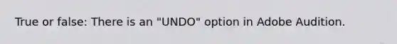 True or false: There is an "UNDO" option in Adobe Audition.