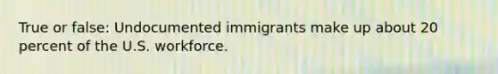 True or false: Undocumented immigrants make up about 20 percent of the U.S. workforce.