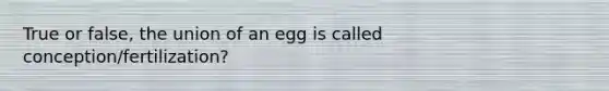 True or false, the union of an egg is called conception/fertilization?