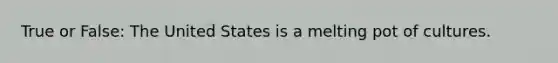 True or False: The United States is a melting pot of cultures.