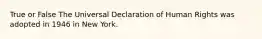 True or False The Universal Declaration of Human Rights was adopted in 1946 in New York.