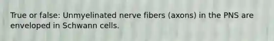 True or false: Unmyelinated nerve fibers (axons) in the PNS are enveloped in Schwann cells.