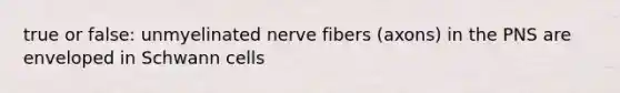 true or false: unmyelinated nerve fibers (axons) in the PNS are enveloped in Schwann cells