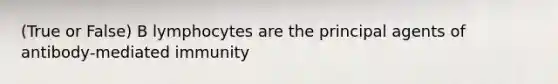 (True or False) B lymphocytes are the principal agents of antibody-mediated immunity