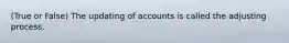 (True or False) The updating of accounts is called the adjusting process.