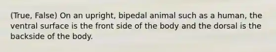 (True, False) On an upright, bipedal animal such as a human, the ventral surface is the front side of the body and the dorsal is the backside of the body.