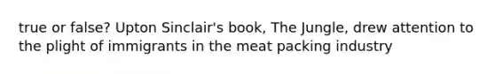 true or false? Upton Sinclair's book, The Jungle, drew attention to the plight of immigrants in the meat packing industry