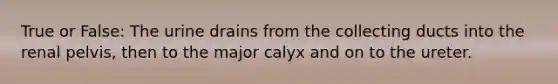 True or False: The urine drains from the collecting ducts into the renal pelvis, then to the major calyx and on to the ureter.