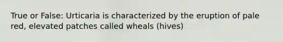 True or False: Urticaria is characterized by the eruption of pale red, elevated patches called wheals (hives)