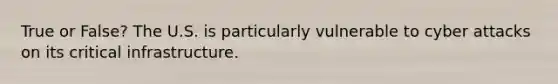 True or False? The U.S. is particularly vulnerable to cyber attacks on its critical infrastructure.