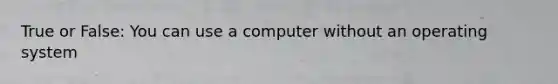 True or False: You can use a computer without an operating system