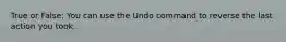 True or False: You can use the Undo command to reverse the last action you took.