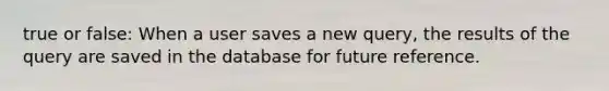 true or false: When a user saves a new query, the results of the query are saved in the database for future reference.