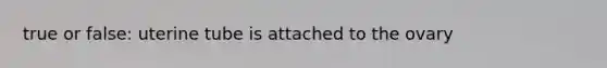 true or false: uterine tube is attached to the ovary
