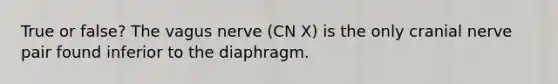 True or false? The vagus nerve (CN X) is the only cranial nerve pair found inferior to the diaphragm.