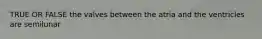 TRUE OR FALSE the valves between the atria and the ventricles are semilunar