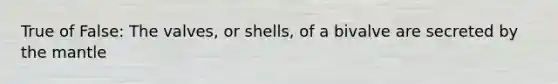 True of False: The valves, or shells, of a bivalve are secreted by the mantle