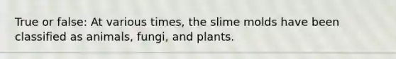 True or false: At various times, the slime molds have been classified as animals, fungi, and plants.