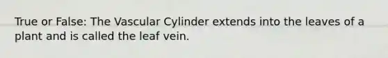 True or False: The Vascular Cylinder extends into the leaves of a plant and is called the leaf vein.