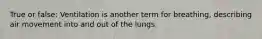 True or false: Ventilation is another term for breathing, describing air movement into and out of the lungs.