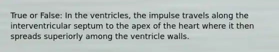 True or False: In the ventricles, the impulse travels along the interventricular septum to the apex of <a href='https://www.questionai.com/knowledge/kya8ocqc6o-the-heart' class='anchor-knowledge'>the heart</a> where it then spreads superiorly among the ventricle walls.