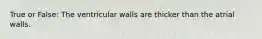 True or False: The ventricular walls are thicker than the atrial walls.