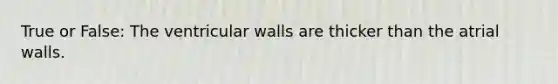 True or False: The ventricular walls are thicker than the atrial walls.