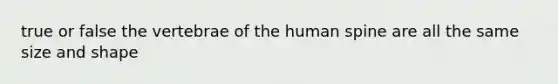 true or false the vertebrae of the human spine are all the same size and shape