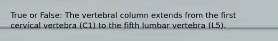 True or False: The vertebral column extends from the first cervical vertebra (C1) to the fifth lumbar vertebra (L5).