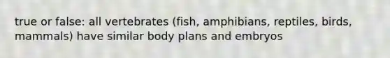 true or false: all vertebrates (fish, amphibians, reptiles, birds, mammals) have similar body plans and embryos