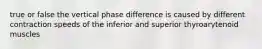 true or false the vertical phase difference is caused by different contraction speeds of the inferior and superior thyroarytenoid muscles