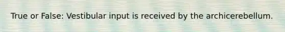 True or False: Vestibular input is received by the archicerebellum.