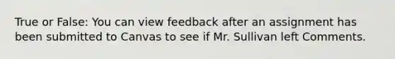 True or False: You can view feedback after an assignment has been submitted to Canvas to see if Mr. Sullivan left Comments.