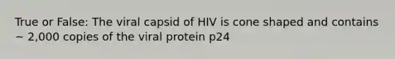 True or False: The viral capsid of HIV is cone shaped and contains ~ 2,000 copies of the viral protein p24