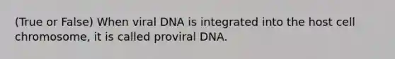 (True or False) When viral DNA is integrated into the host cell chromosome, it is called proviral DNA.