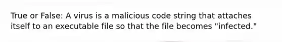 True or False: A virus is a malicious code string that attaches itself to an executable file so that the file becomes "infected."