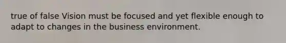 true of false Vision must be focused and yet flexible enough to adapt to changes in the business environment.