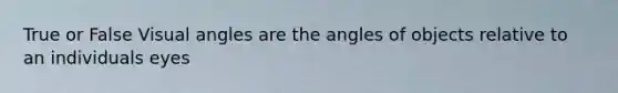 True or False Visual angles are the angles of objects relative to an individuals eyes