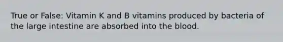 True or False: Vitamin K and B vitamins produced by bacteria of the large intestine are absorbed into the blood.