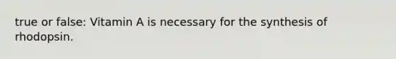 true or false: Vitamin A is necessary for the synthesis of rhodopsin.